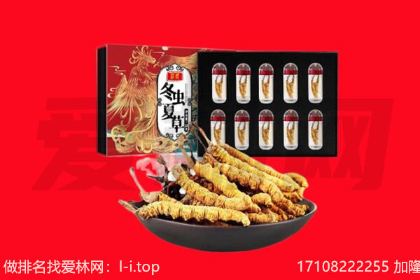 常德澧县回收虫草.jpg